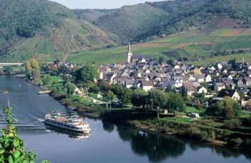 Moselwinzerhaus - Foto 10