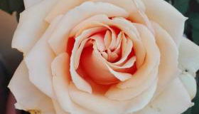 Casa Ofelia - Foto 3