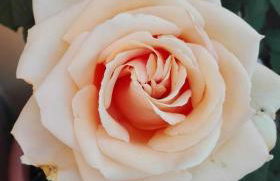 Casa Ofelia - Foto 3