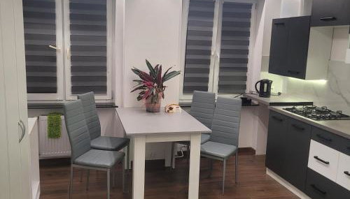 Mieszkanie centrum - Foto 4, stove, minibar