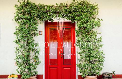 Il Gufo e l' Allodola - Foto 1