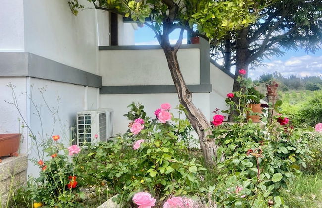 Casa das Jardas - Foto 22