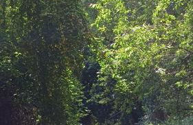 CASA RURAL CASCO ANTIGUO - Photo 53