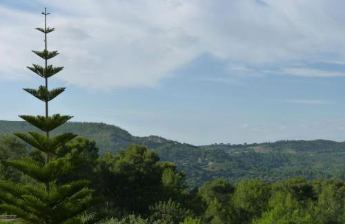 Casal das Oliveiras - Foto 49