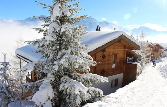 Sternschnuppe EG - Foto 1