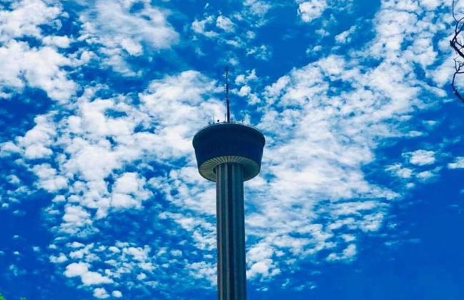 Newly Remodeled 4BR 2BA Near Amazing Downtown - Photo 32