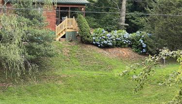 Willow Pond Cabin that is peaceful and quiet - Foto 3