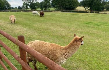 Jasmine Cottage - Foto 8