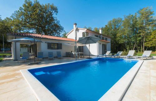 Villa Stepančić - large garden and heated pool - Foto 4