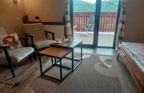 Willa Przekop - apartamenty - Foto 10