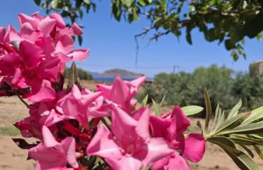 EmvaSea Seaside apartment - Foto 18