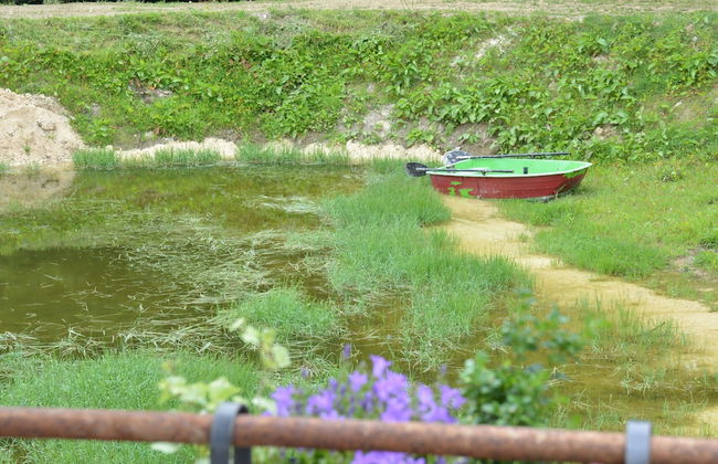 Cozy Mobile Home in Vresse-sur-semois With Terrace - Foto 22