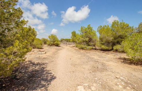 Pet Friendly Apartment In Torrevieja - Foto 27