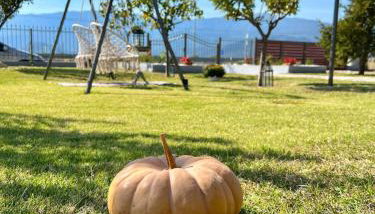 Artistic Escape - Foto 5, Garden