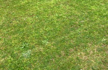 Casale el galet - Foto 63