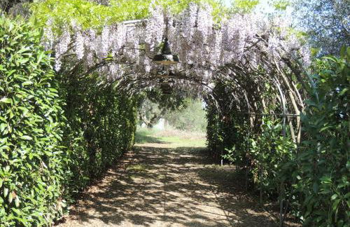 Casa Sabbatini - Foto 46