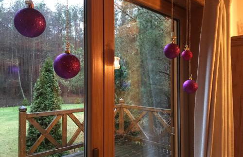 Deluxe Holiday Zdrojowa -Willa typu Alpejskiego w Borach Tucholskich-Całoroczna Balia z jacuzzi-Prywatny las i strumyk -Duża Wiata grillowa - Foto 40