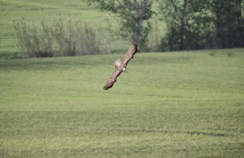 Agriturismo bio Verde Armonia - Photo 44