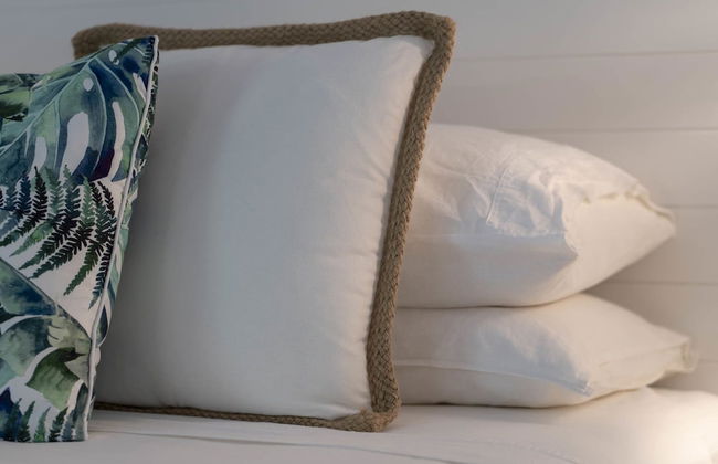 mist at Cape Tribulation - Foto 4