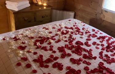 Log Cabin in the City with hot tub - Photo 8