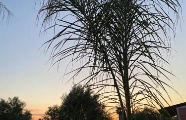 Villa per vacanze Isola - Photo 79