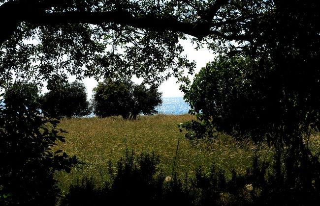 Andros Maisonettes - Photo 18