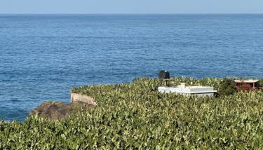 Rooftop Casa El Banco - Foto 5