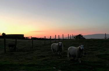 Eviedale Cottages ltd - Photo 17