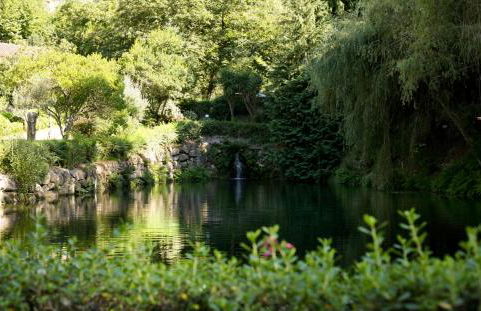 Quinta de Barbêdo - Turismo Rural - Foto 19