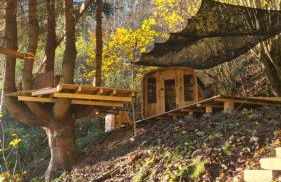 Waldhaus zum gechillten Hirsch in der Natur, bei der Moseltherme Traben-Trarbach - Foto 29