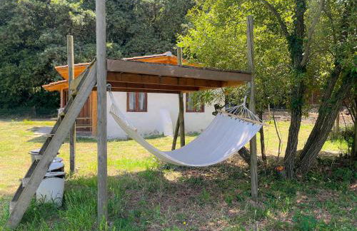 Associação Quinta das Relvas - Foto 17