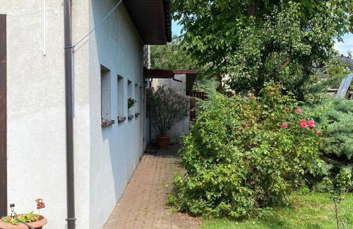 Damentka's Nest - Foto 5