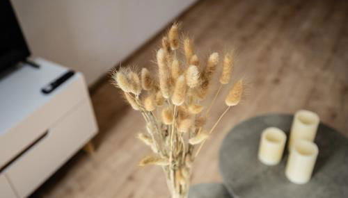 LeHaStays - Apartment Linkel - Foto 3