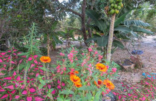 Chácara Morro da Pedra - Foto 55