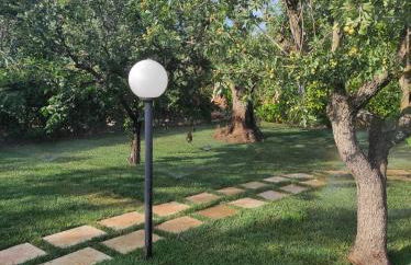 Il Trullo del Lazzeruolo - Foto 2