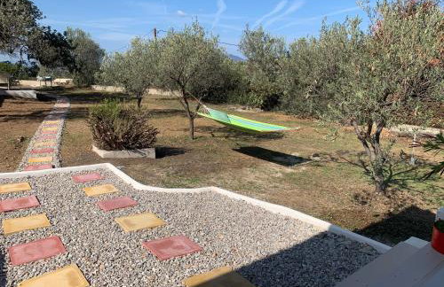 Olive Hill Private House - Foto 42