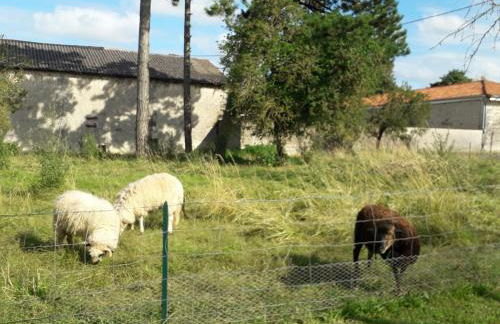 Gîte 3 La vigne est belle pour 1 à 3 personnes - Foto 9