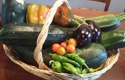 El Pedrueco turismo rural - Foto 74