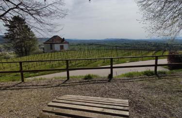 Appartement Sulzbachtal in Lahr, Nähe Europapark, Nähe Rulantica - Foto 6