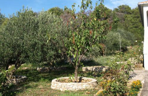 Apartment Agneza by Interhome - Foto 34