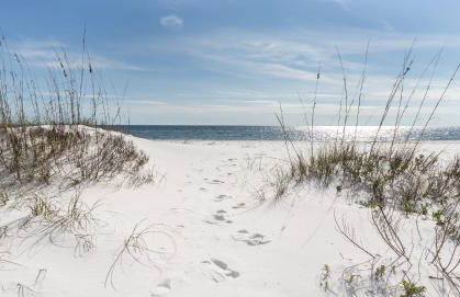 Pirates Bay B303 - Foto 46