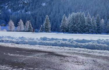 Appartamenti e camere del Re e della Regina - Grand Hotel Ceresole Reale - Foto 68