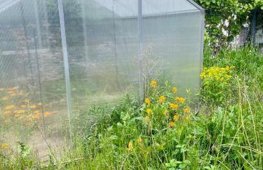 Ride & Rest, Budget, Waschmaschine, Wohnzimmer, Küche, Radlgarage - Foto 13