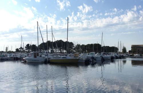 L'atelier, chalet proche lac et océan à Hourtin - Foto 22