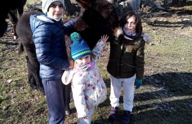 Casa Rural A Ritmo De Burro - Foto 38