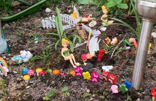 Fraoch, Pets welcome - Foto 6