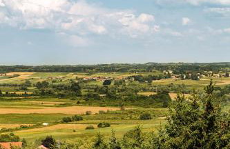 Green Zelina - Foto 28