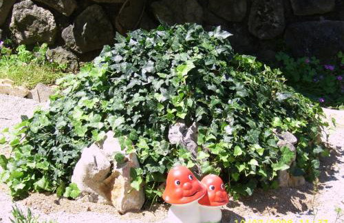 Apartments Cvelic Milovcic - Foto 38