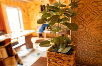 Całoroczne Domki "Stokrotka" - Foto 35