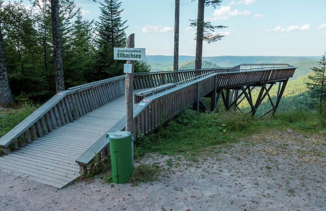 Ferienwohnung im Malerischen Kniebis - Foto 37
